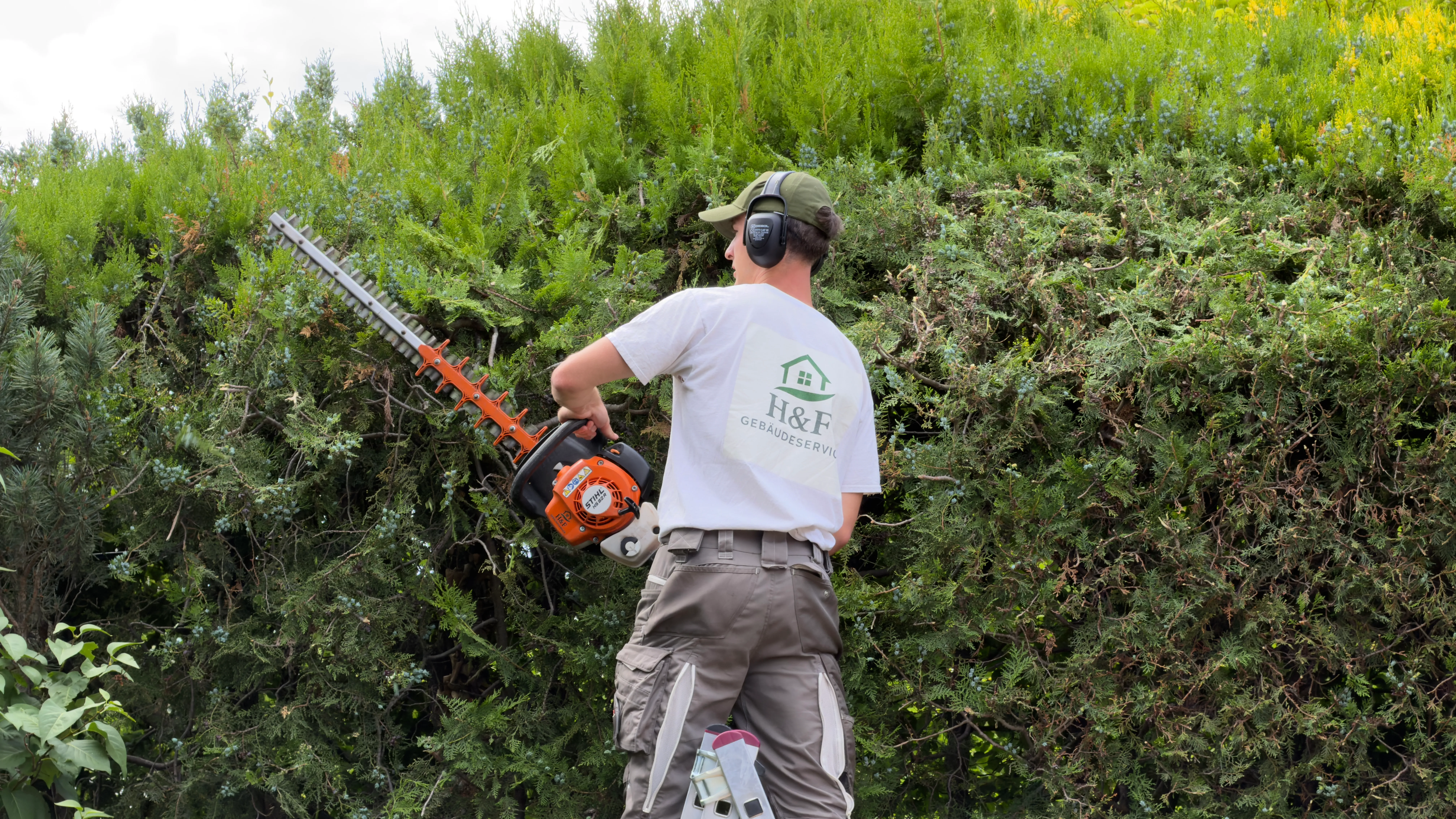 Mitarbeiter von H&F schneidet mit dem Heckenschneider eine Hecke bei der Gartenpflege in Wien