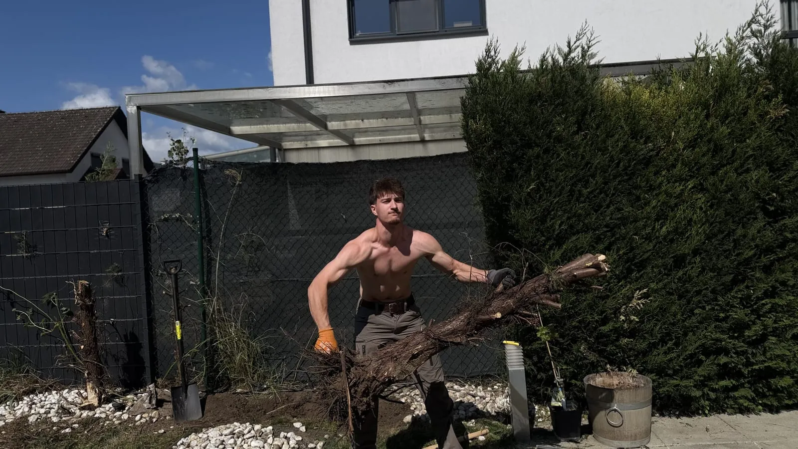 Vorher: Baumentfernung im Garten in Wien