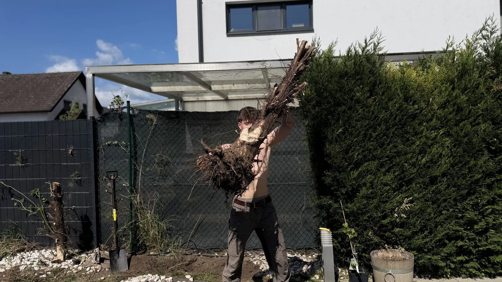 Nachher: Baumentfernung im Garten in Wien