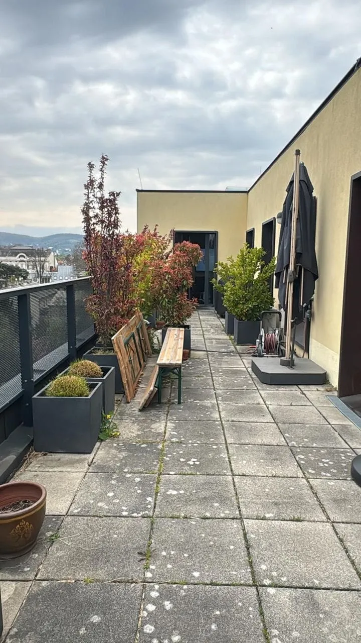 Vorher: Terrasse in Wien bei der Hochdruckreinigung